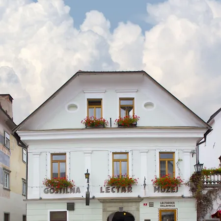 Πανσιόν Lectar 3*